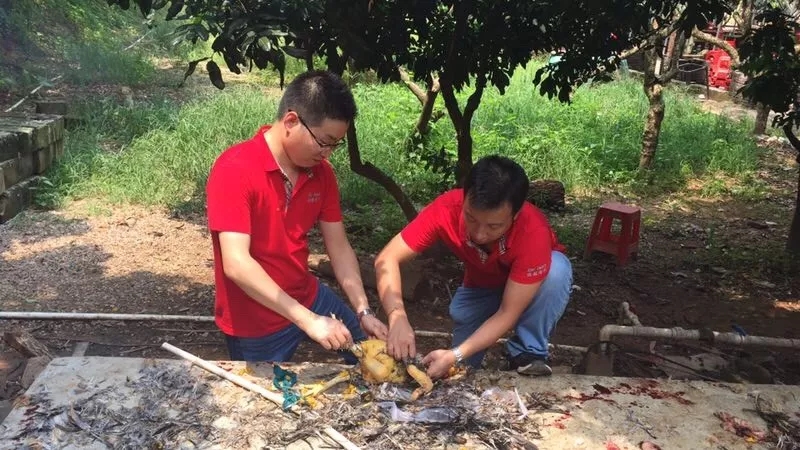 娱乐电子游戏app