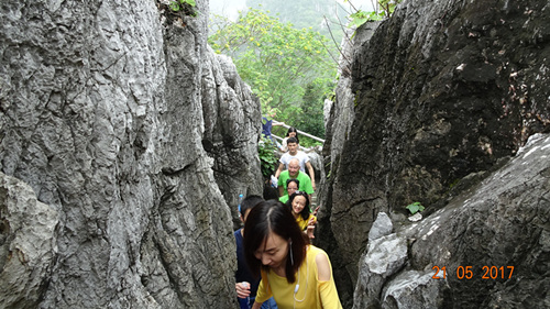 娱乐电子游戏app