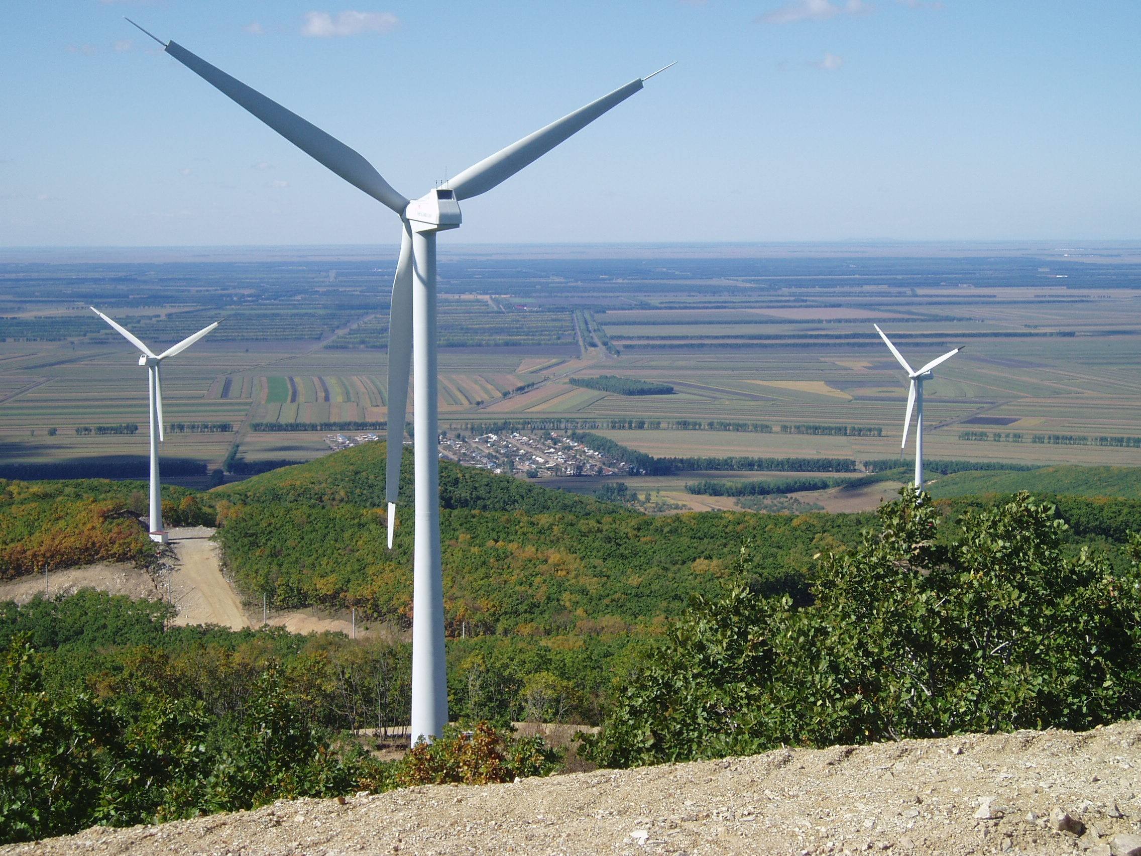 娱乐电子游戏app