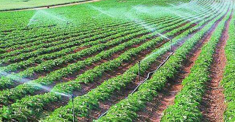 娱乐电子游戏app