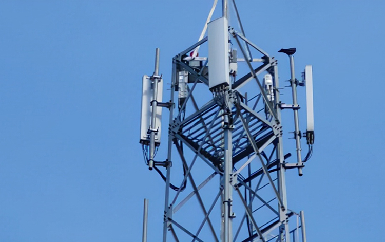 娱乐电子游戏app